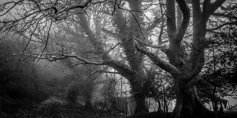 严寒地区门窗如何选？深度解析彬立系统门窗的低温抗冻与高效保温性能