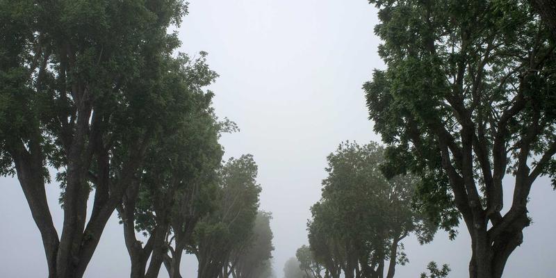 传统与现代的完美融合：彬立门窗如何用铝合金系统窗演绎中式花格新美学