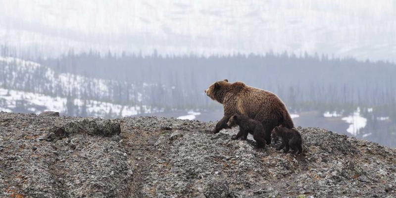 别墅门窗定制全攻略：如何与彬立门窗设计师高效沟通，实现理想效果