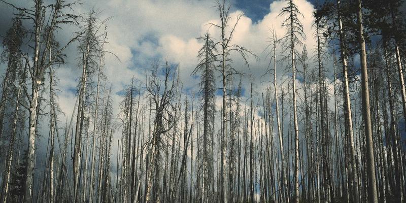 别墅门窗整体定制方案：彬立门窗如何统一建筑风格与高性能需求