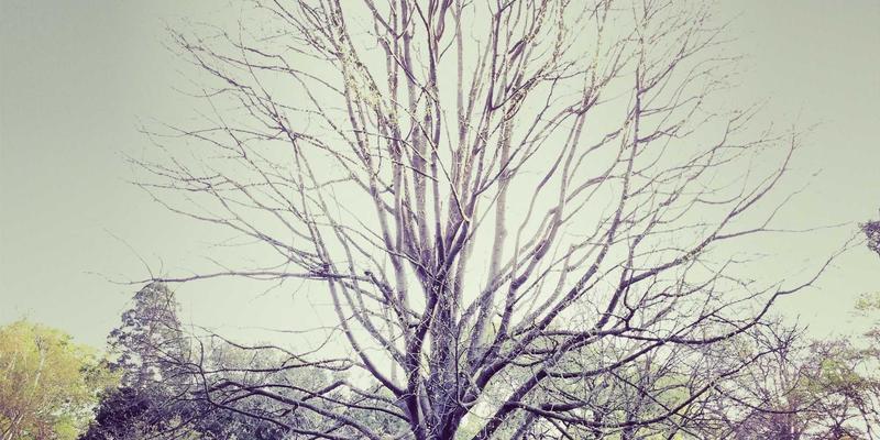 彬立门窗31：系统门窗定制与专业安装，构筑理想家居的守护屏障