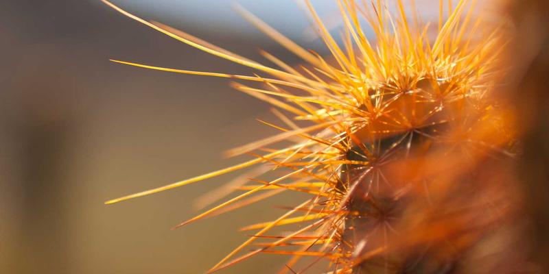 彬立门窗32：专业门窗工程定制与安装的一站式解决方案