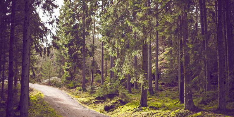 彬立门窗53：以匠心定制，定义高品质铝合金门窗新标准