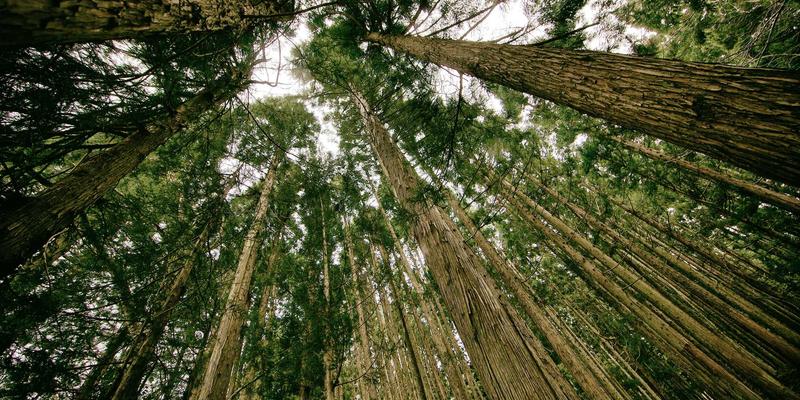 彬立门窗技巧解析：如何选择高品质系统门窗与铝合金门窗工程