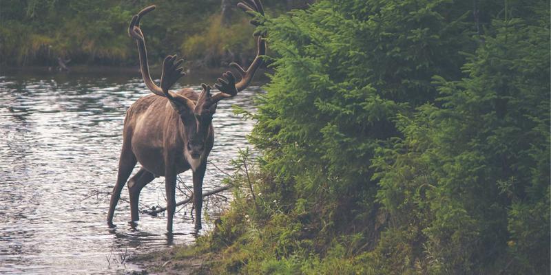 断桥铝门窗配色指南：彬立氟碳喷涂与木纹转印如何完美匹配建筑外墙