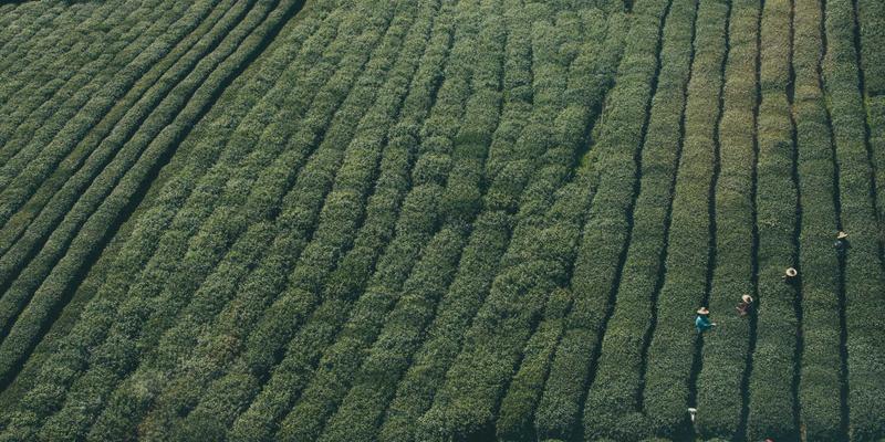 海滨门窗工程如何抵御盐雾腐蚀？彬立断桥铝门窗的尖端防护技术解析