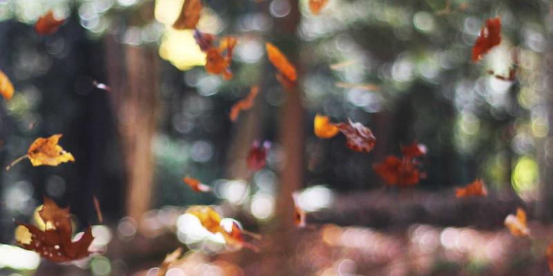 系统门窗工程的核心秘密：彬立五金配件如何决定门窗寿命与使用体验