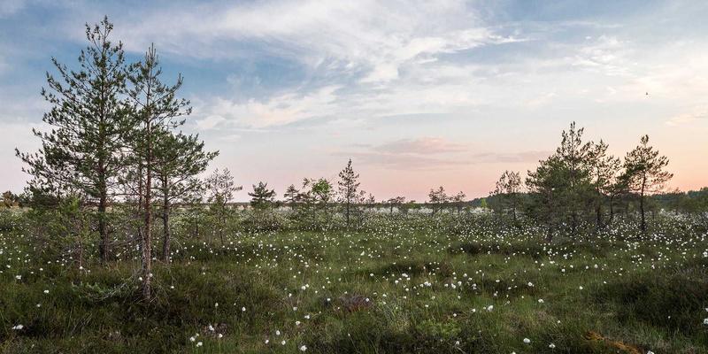 铝合金门窗寿命翻倍秘诀：深度解析彬立门窗五金配件如何提升密封性与耐用性