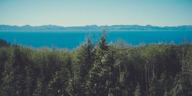 铝合金门窗节能认证深度解读：彬立门窗节能标识与实测数据对比分析