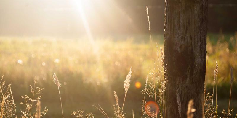 门窗定制新选择：揭秘彬立系统门窗在节能、隔音与安全上的工程级优势